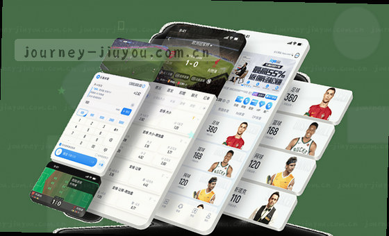 数据驱动决策，洞察价值未来
