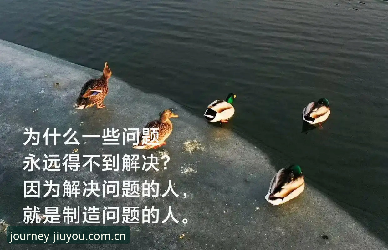 键入代号APP25CF下载 一个常见的错觉:赢了几场就以为行了